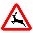 A19b - Animais selvagens